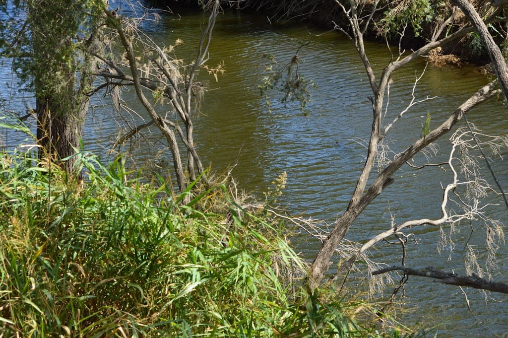 Lot 60 Allan Street, Maryvale, QLD, 4370, Maryvale - Thumbnail 4