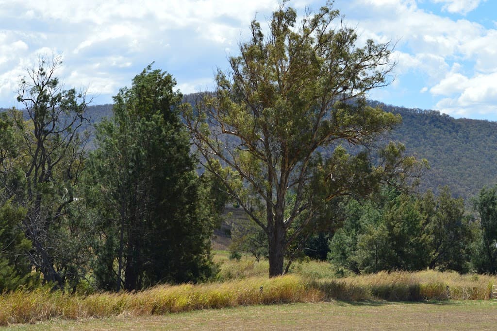 Lot 60 Allan Street, Maryvale, QLD, 4370, Maryvale - Thumbnail 7