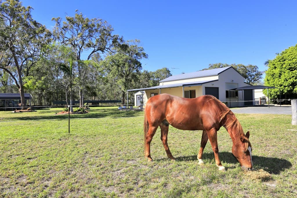 25 Whistler Close, Moore Park Beach, QLD, 4670, Moore Park Beach - Thumbnail 2