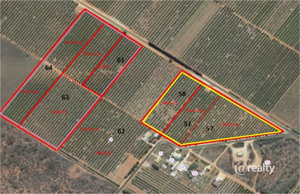57 Medley Road, Sunlands, SA, 5322, Sunlands - Image 1