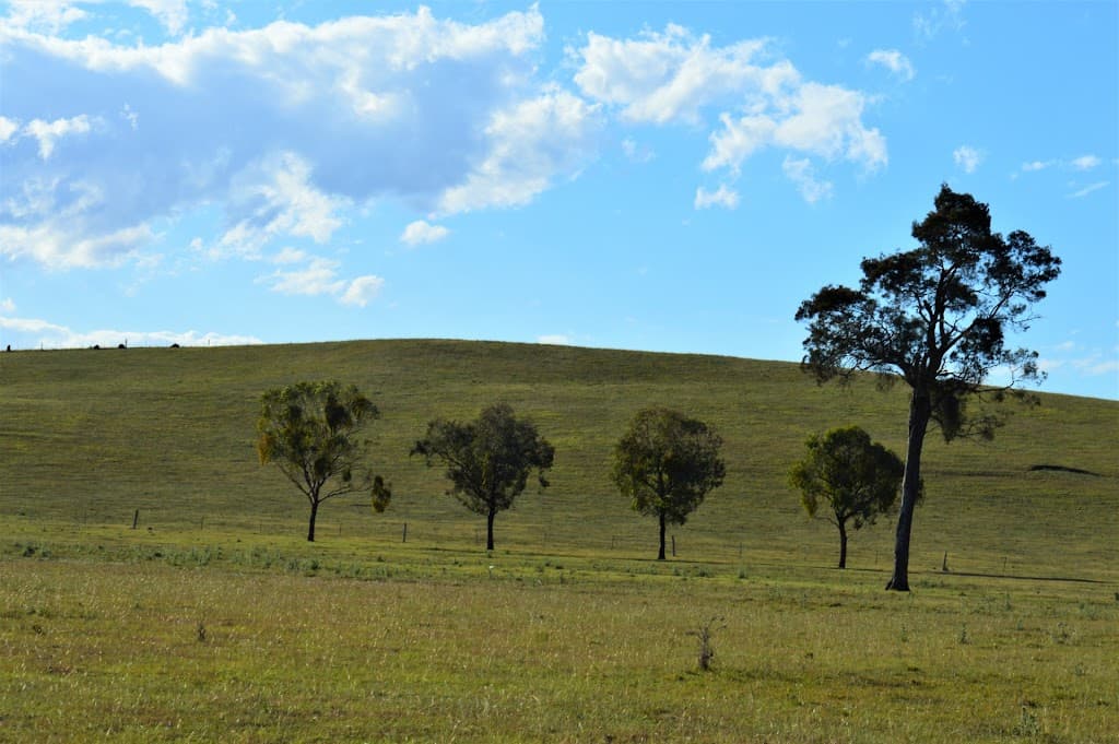 Lot 9 Border Road, Killarney, QLD, 4373, Killarney - Thumbnail 3