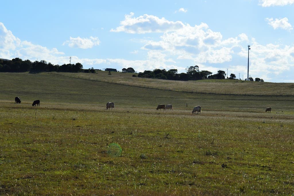 Lot 9 Border Road, Killarney, QLD, 4373, Killarney - Thumbnail 4