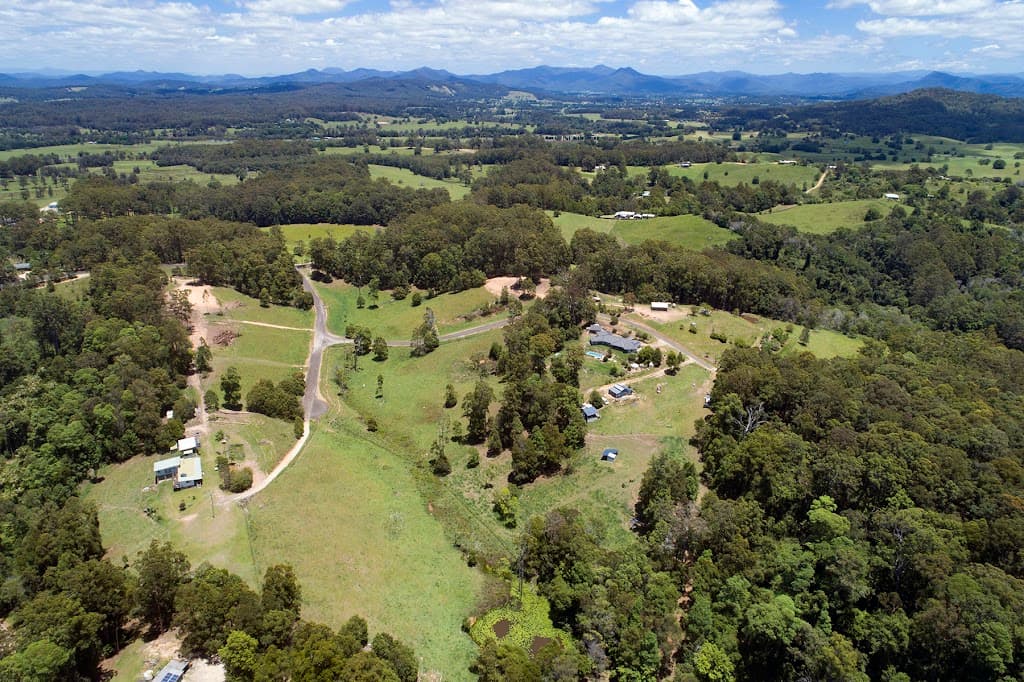 12 MacKay Place, Newee Creek, NSW, 2447, Newee Creek - Thumbnail 2