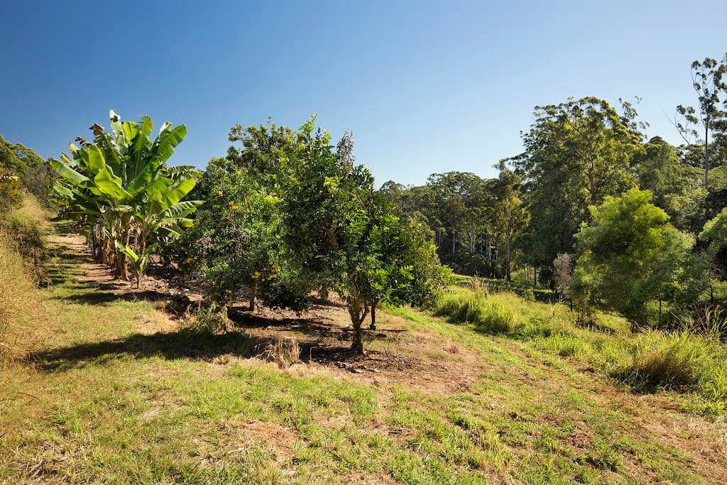 12 MacKay Place, Newee Creek, NSW, 2447, Newee Creek - Thumbnail 4