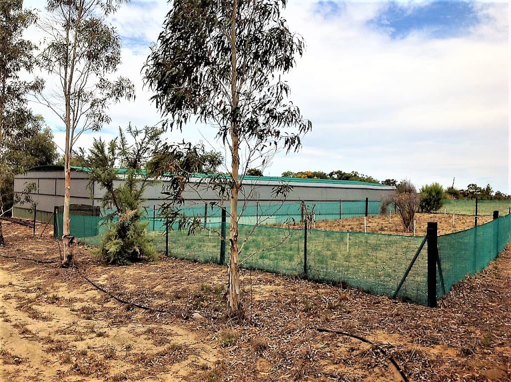 101 Cowalla Road, Wanerie, WA, 6503, Wanerie - Thumbnail 6
