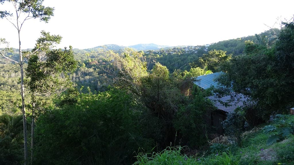 49 Broadwater Esplanade, BILAMBIL HEIGHTS, NSW, 2486, Bilambil Heights - Thumbnail 3