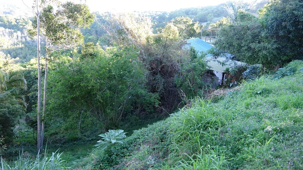 49 Broadwater Esplanade, BILAMBIL HEIGHTS, NSW, 2486, Bilambil Heights - Thumbnail 4