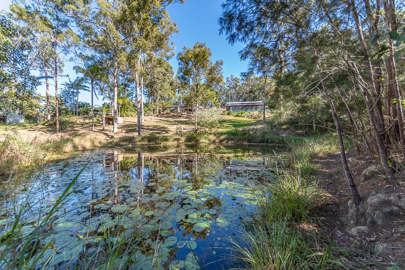 33 Sunpeaks Court, Upper Coomera, QLD, 4209, Upper Coomera - Thumbnail 5