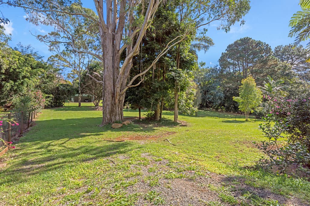8 Huyber Lane, Tamborine Mountain, QLD, 4272, Tamborine Mountain - Thumbnail 3
