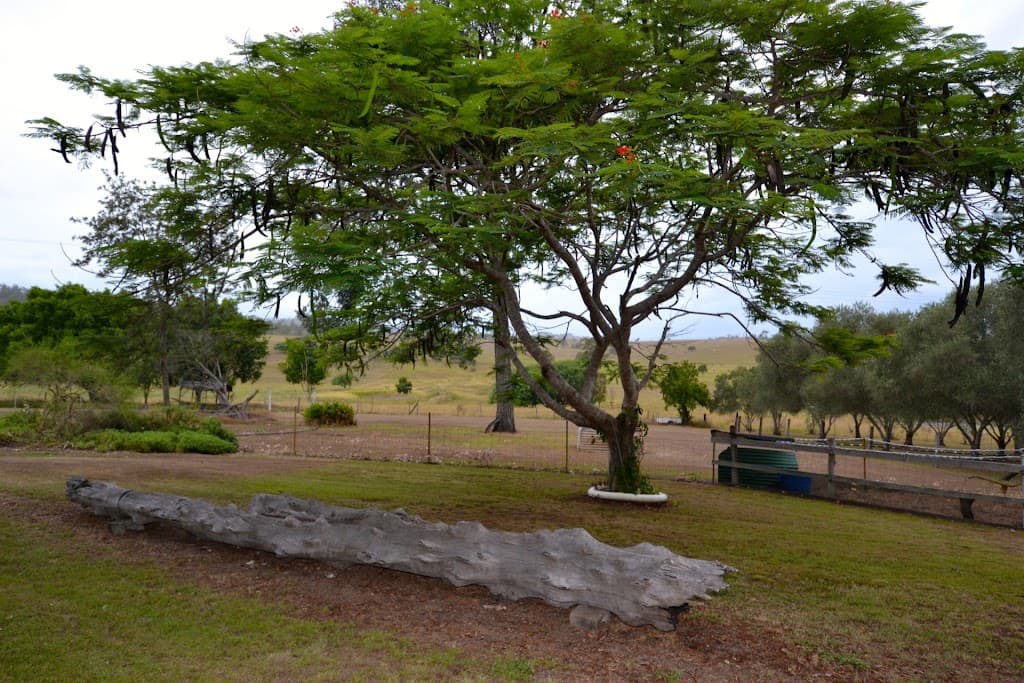 566 Esk Crows Nest Road, Biarra, QLD, 4313, Biarra - Thumbnail 2