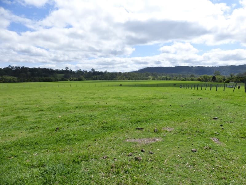 L313/54 Diggings Road, Glastonbury - Thumbnail 2