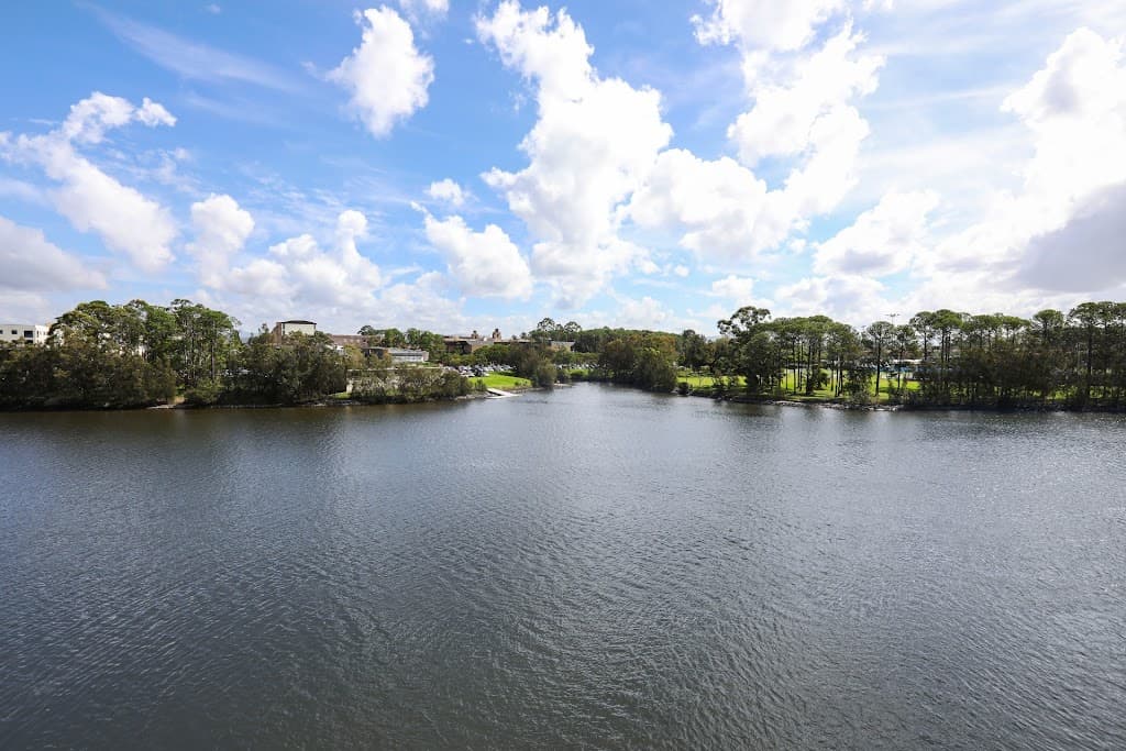117/25 Lake Orr Drive, Robina, QLD, 4226, Robina - Thumbnail 4