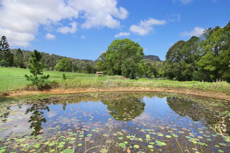 36 Jensen Road, Ninderry, QLD, 4561, Ninderry - Thumbnail 2