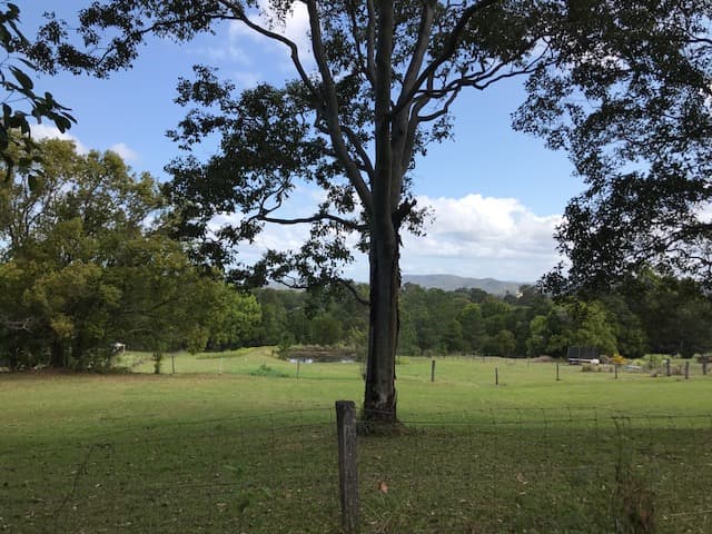 36 Jensen Road, Ninderry, QLD, 4561, Ninderry - Thumbnail 8