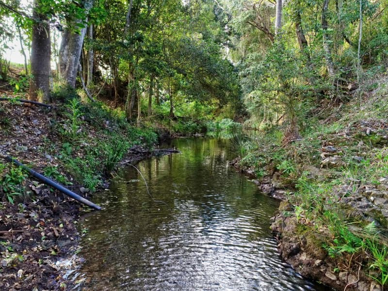 903 Mooloo Road, Mooloo, QLD, 4570, Mooloo - Thumbnail 6