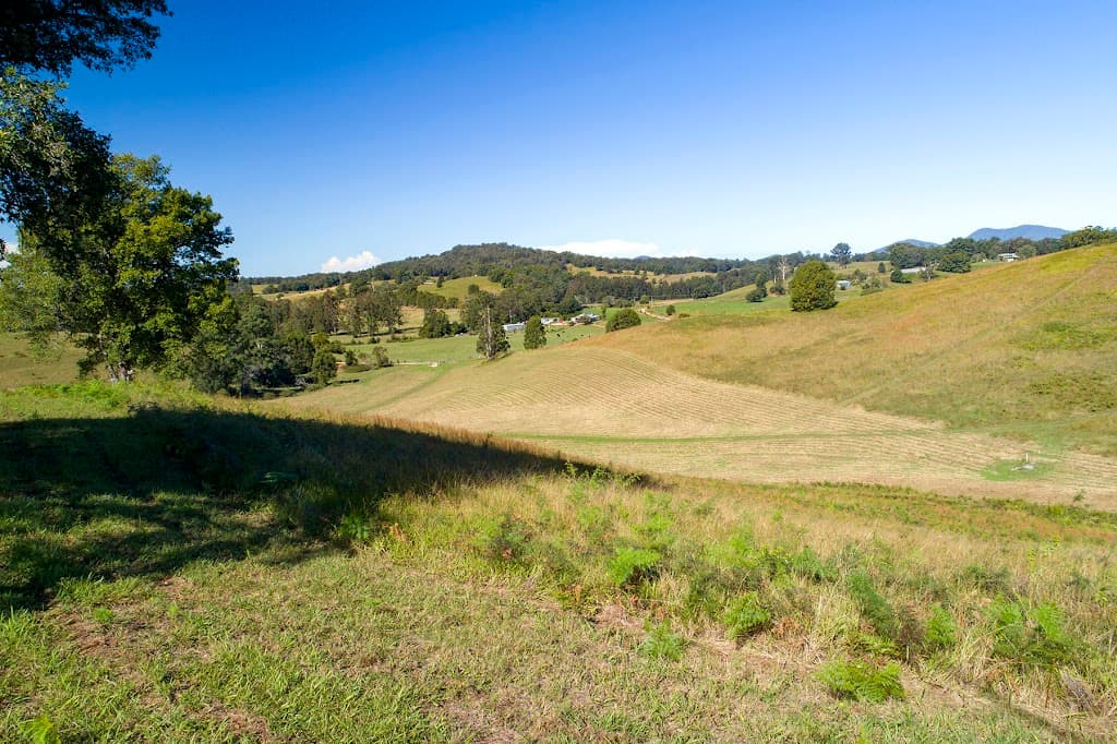 312 Dyers Loop Road, Argents Hill, NSW, 2449, Argents Hill - Image 1
