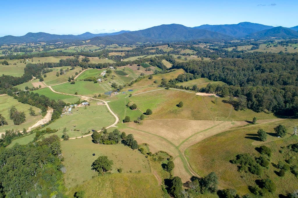 312 Dyers Loop Road, Argents Hill, NSW, 2449, Argents Hill - Thumbnail 2
