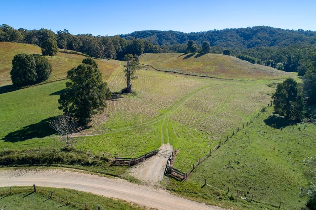 312 Dyers Loop Road, Argents Hill, NSW, 2449, Argents Hill - Thumbnail 4