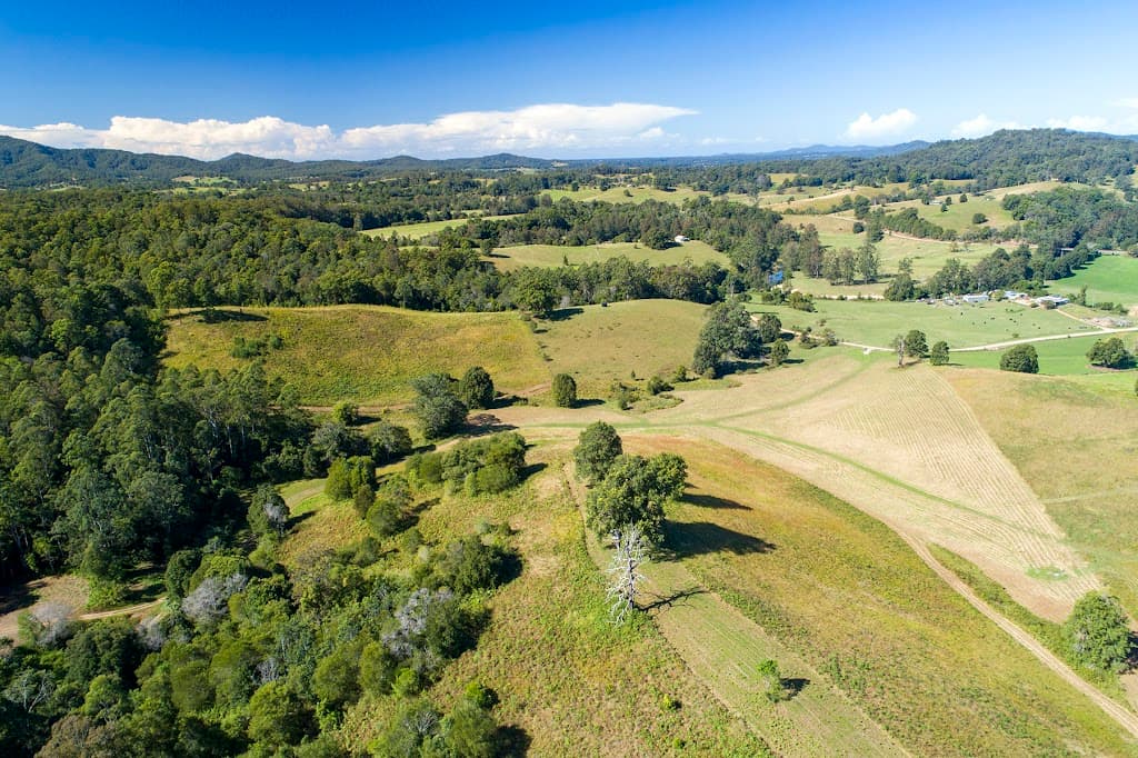 312 Dyers Loop Road, Argents Hill, NSW, 2449, Argents Hill - Thumbnail 5