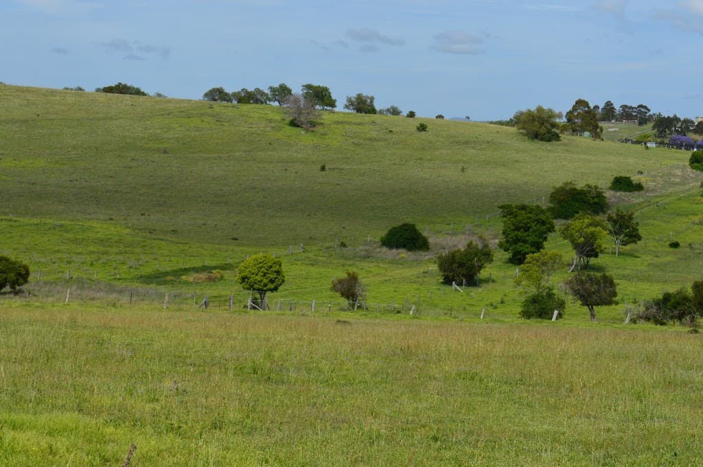 Lot 11 Rose Street, Killarney, QLD, 4373, Killarney - Image 1