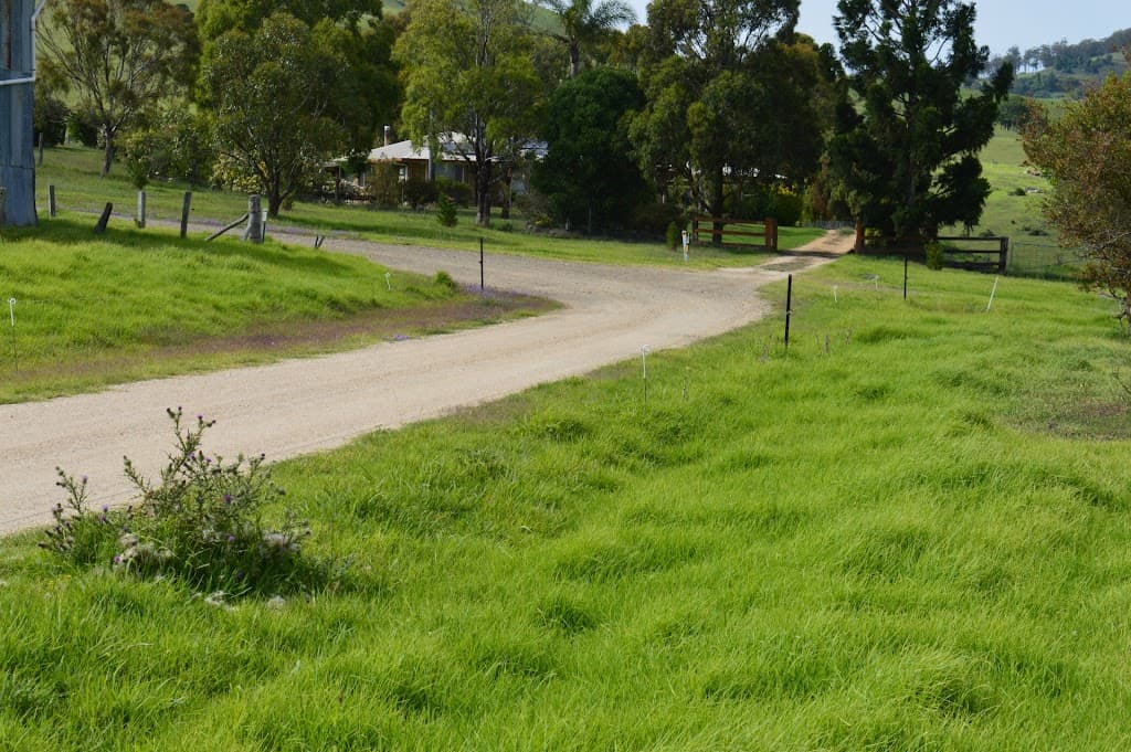 Lot 11 Rose Street, Killarney, QLD, 4373, Killarney - Thumbnail 3