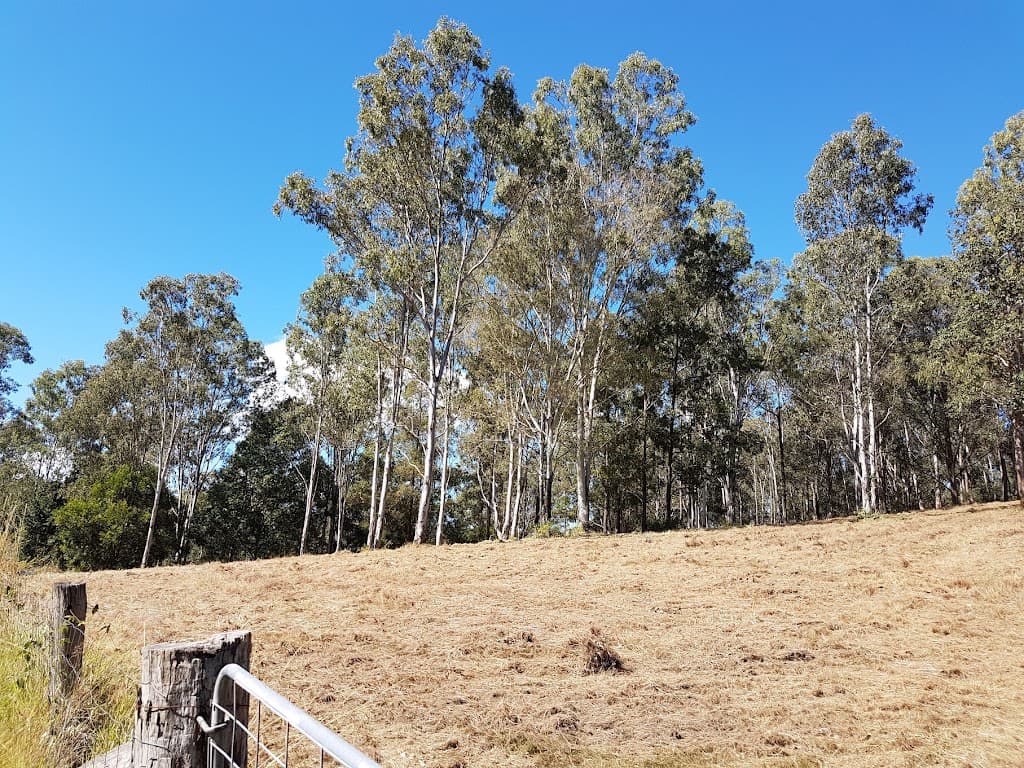 20 Pinto Dve, Conondale, QLD, 4552, Conondale - Thumbnail 5