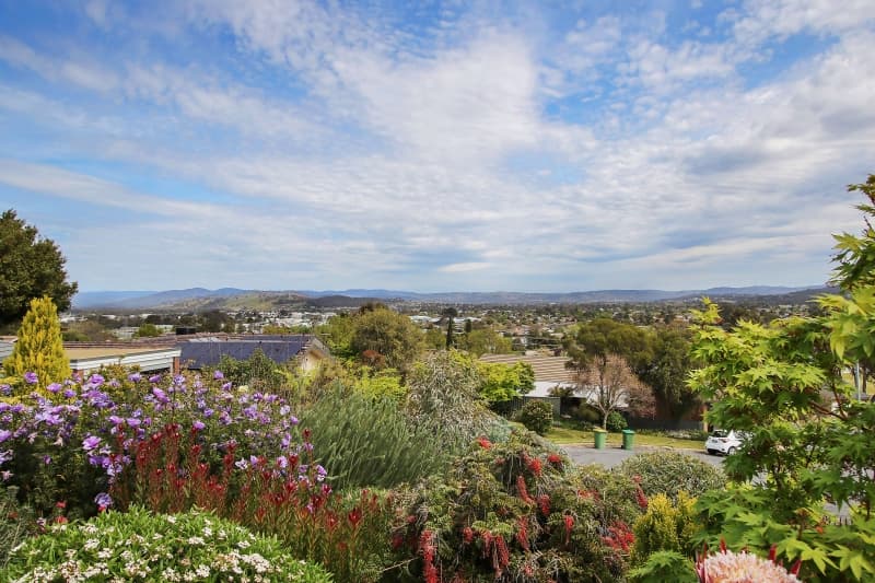 408 Carlma Crescent, Lavington, NSW, 2641, Lavington - Thumbnail 4