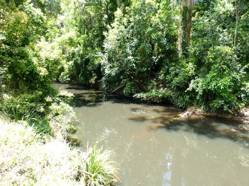 272 Wilsons Pocket Road, Wilsons Pocket - Thumbnail 2