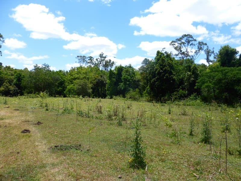272 Wilsons Pocket Road, Wilsons Pocket - Thumbnail 4