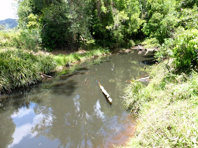 272 Wilsons Pocket Road, Wilsons Pocket - Thumbnail 5