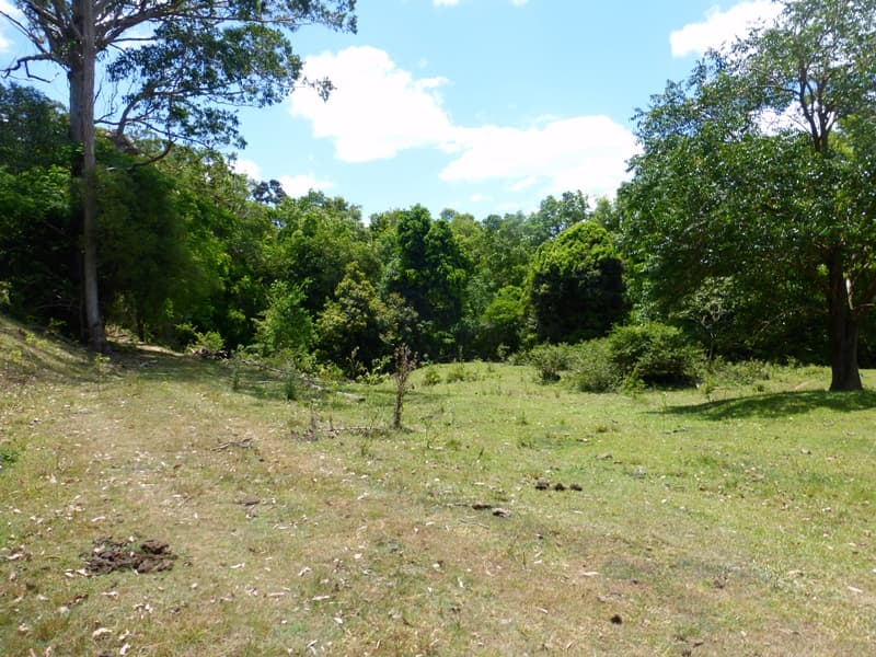 272 Wilsons Pocket Road, Wilsons Pocket - Thumbnail 7