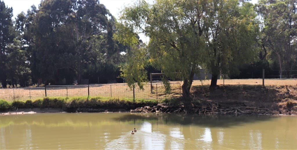 885 Robinsons Road, Pearcedale, VIC, 3912, Pearcedale - Thumbnail 3