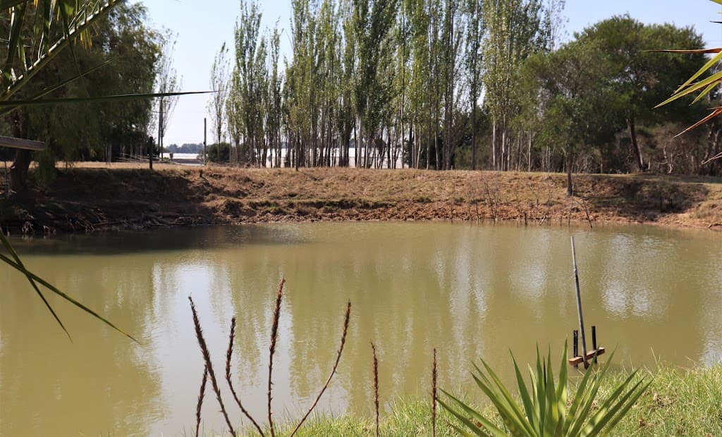 885 Robinsons Road, Pearcedale, VIC, 3912, Pearcedale - Thumbnail 5