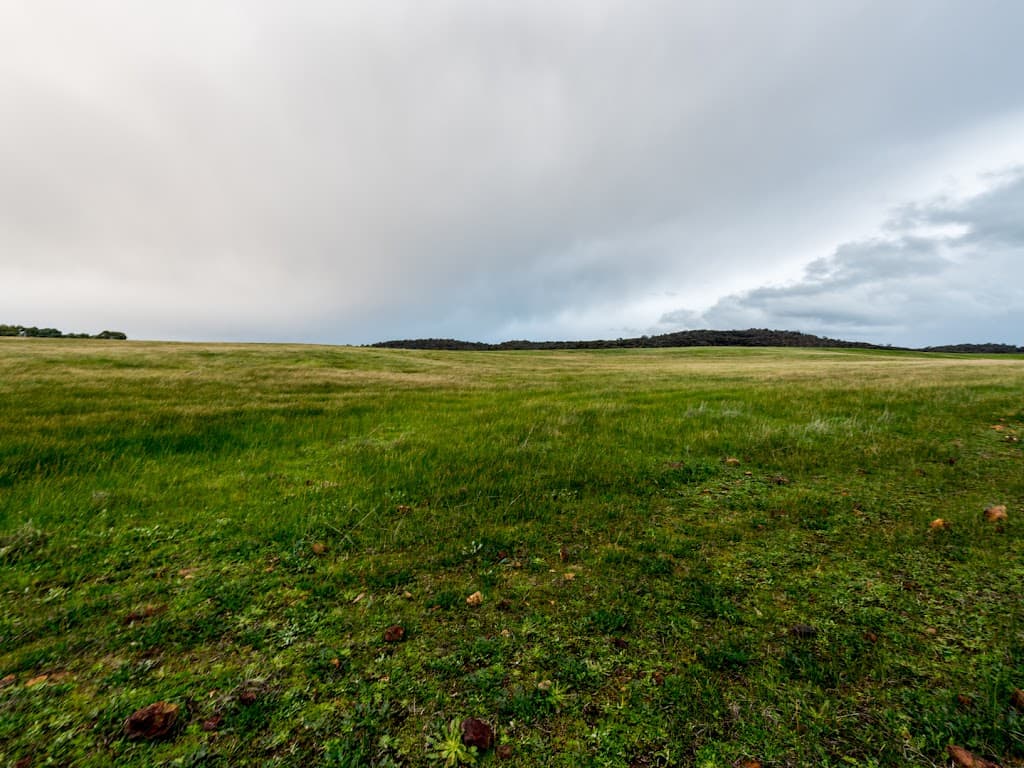 Lot 2 Mistletoe View, Crossman, WA, 6390, Crossman - Thumbnail 2