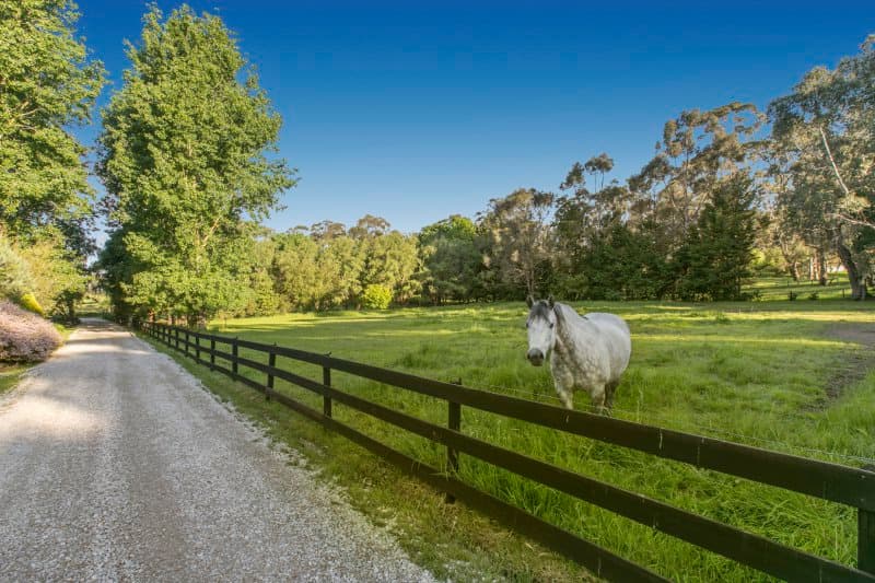 186 Loch Street, Yarragon, VIC, 3823, Yarragon - Thumbnail 4