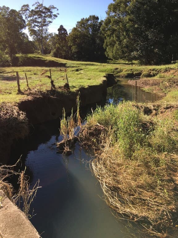 55 Crooks Valley Road, Crystal Creek, NSW, 2484, Crystal Creek - Thumbnail 4