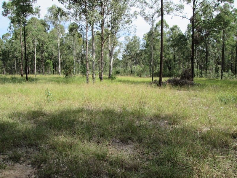 Lot 2 Old Wyan Rd, RAPPVILLE, NSW, 2469, Rappville - Image 1