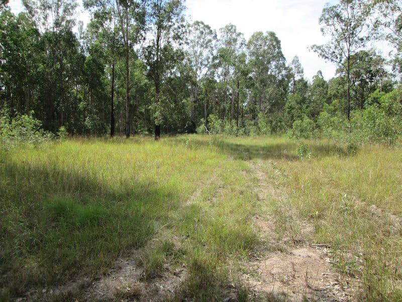Lot 2 Old Wyan Rd, RAPPVILLE, NSW, 2469, Rappville - Thumbnail 2