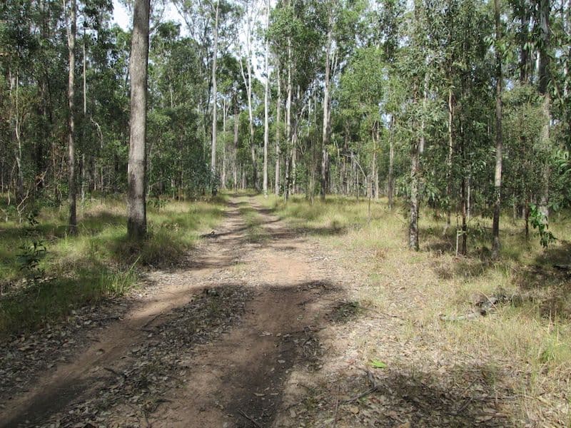 Lot 2 Old Wyan Rd, RAPPVILLE, NSW, 2469, Rappville - Thumbnail 4
