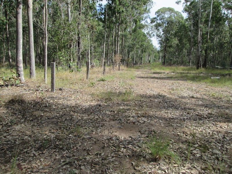 Lot 2 Old Wyan Rd, RAPPVILLE, NSW, 2469, Rappville - Thumbnail 6