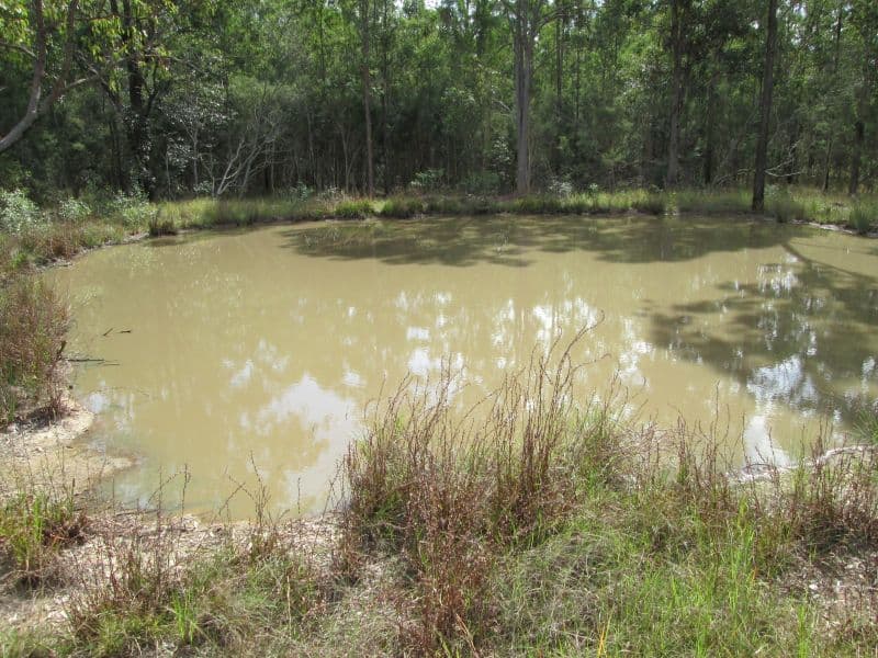 Lot 2 Old Wyan Rd, RAPPVILLE, NSW, 2469, Rappville - Thumbnail 7