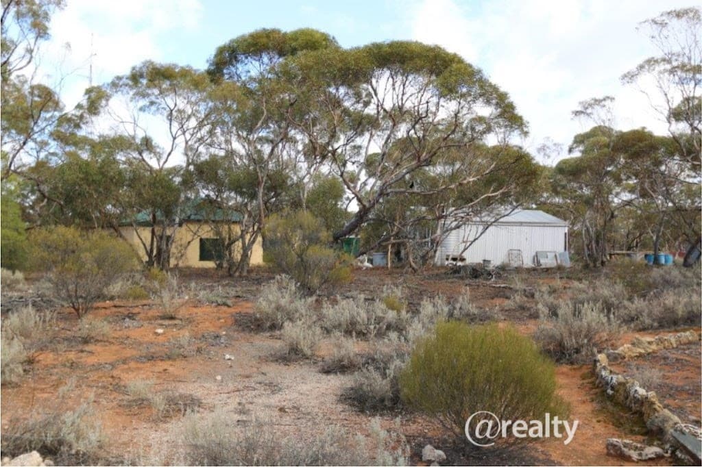 99 Hodge Road, Cadell, SA, 5321, Cadell - Image 1