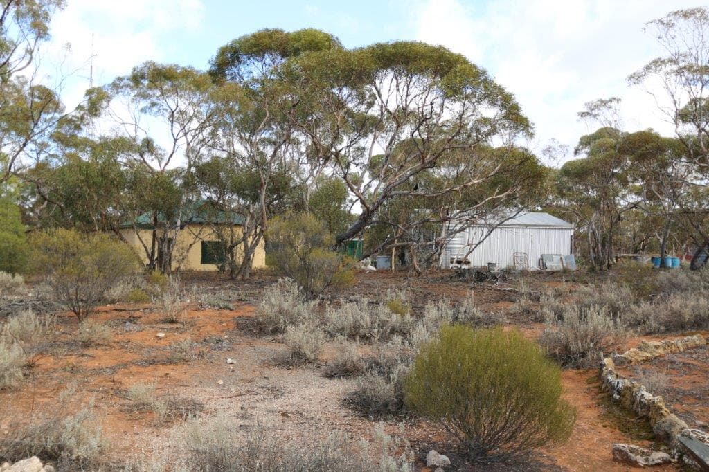 99 Hodge Road, Cadell, SA, 5321, Cadell - Thumbnail 2
