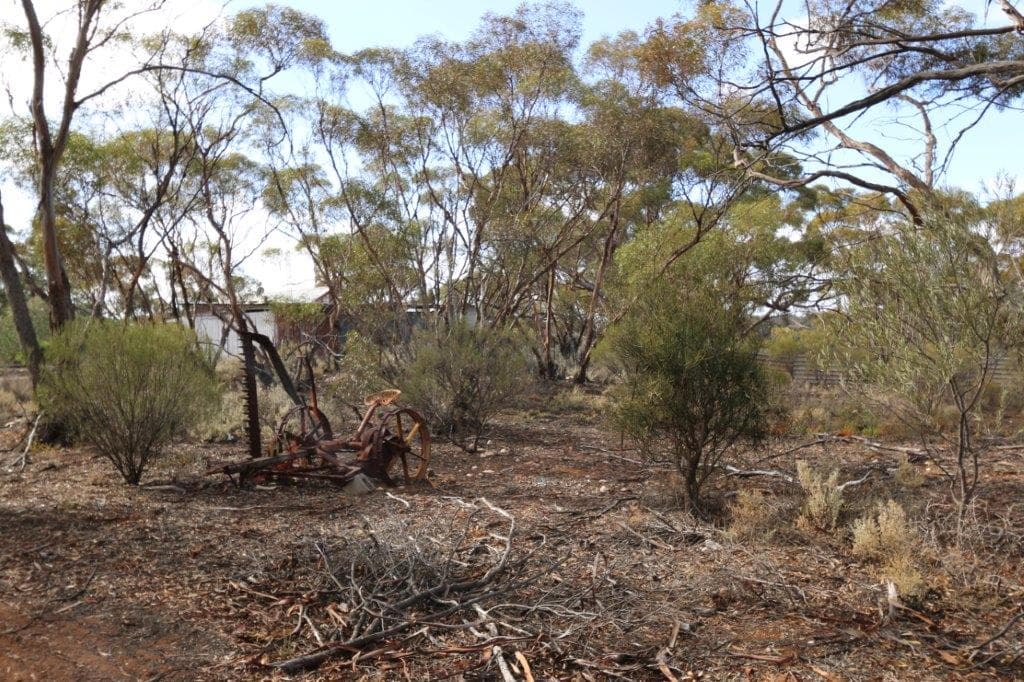 99 Hodge Road, Cadell, SA, 5321, Cadell - Thumbnail 3