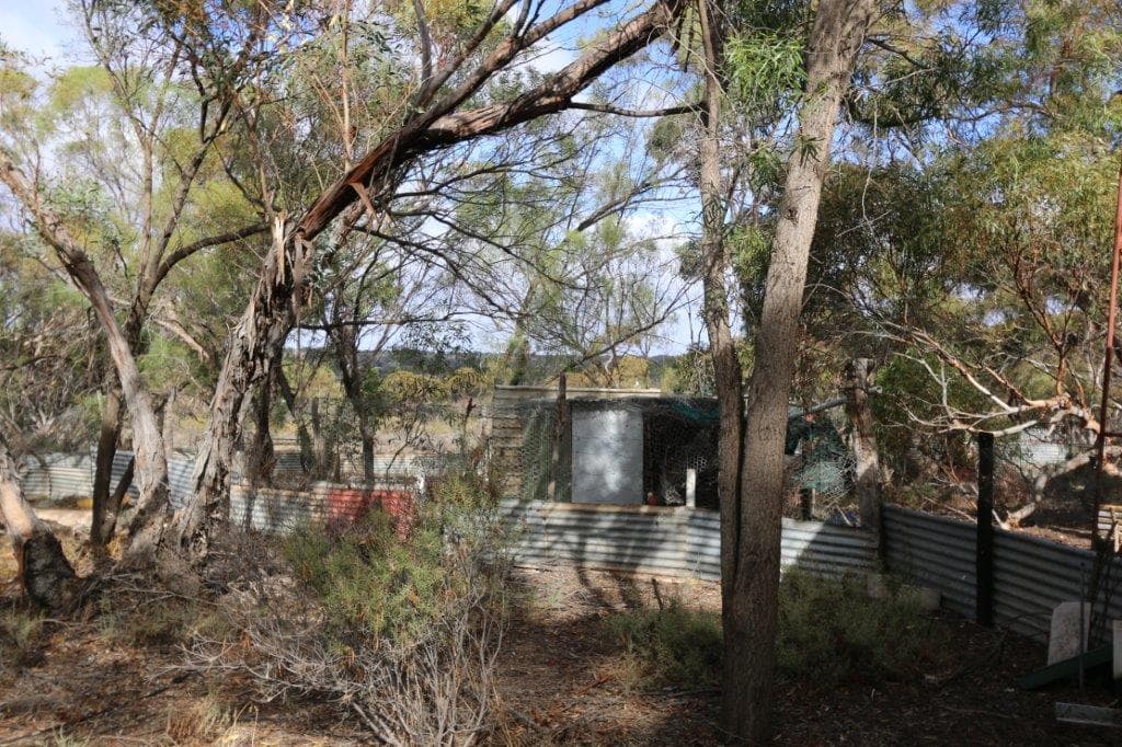99 Hodge Road, Cadell, SA, 5321, Cadell - Thumbnail 4