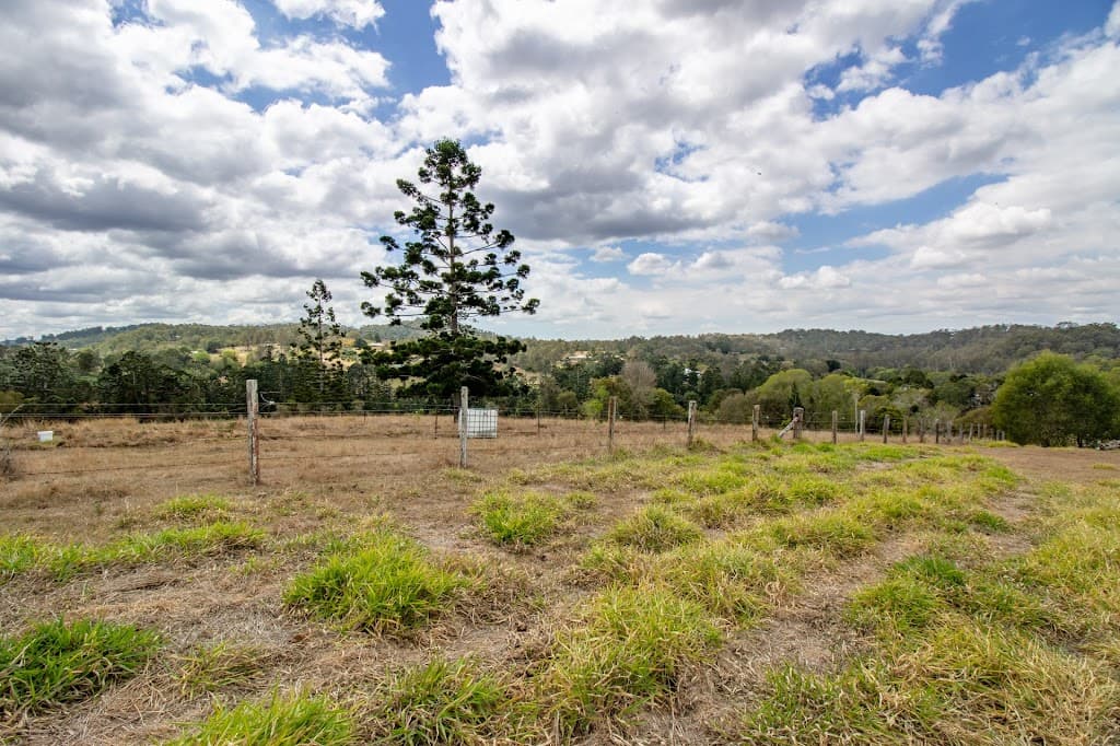 323 Grandview Road, Pullenvale, QLD, 4069, Pullenvale - Thumbnail 4