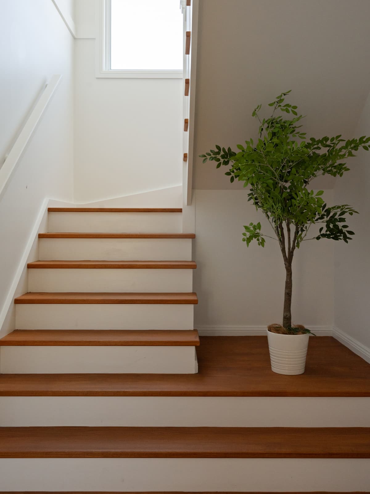 16 Somerset Street, Wilton - Thumbnail 8