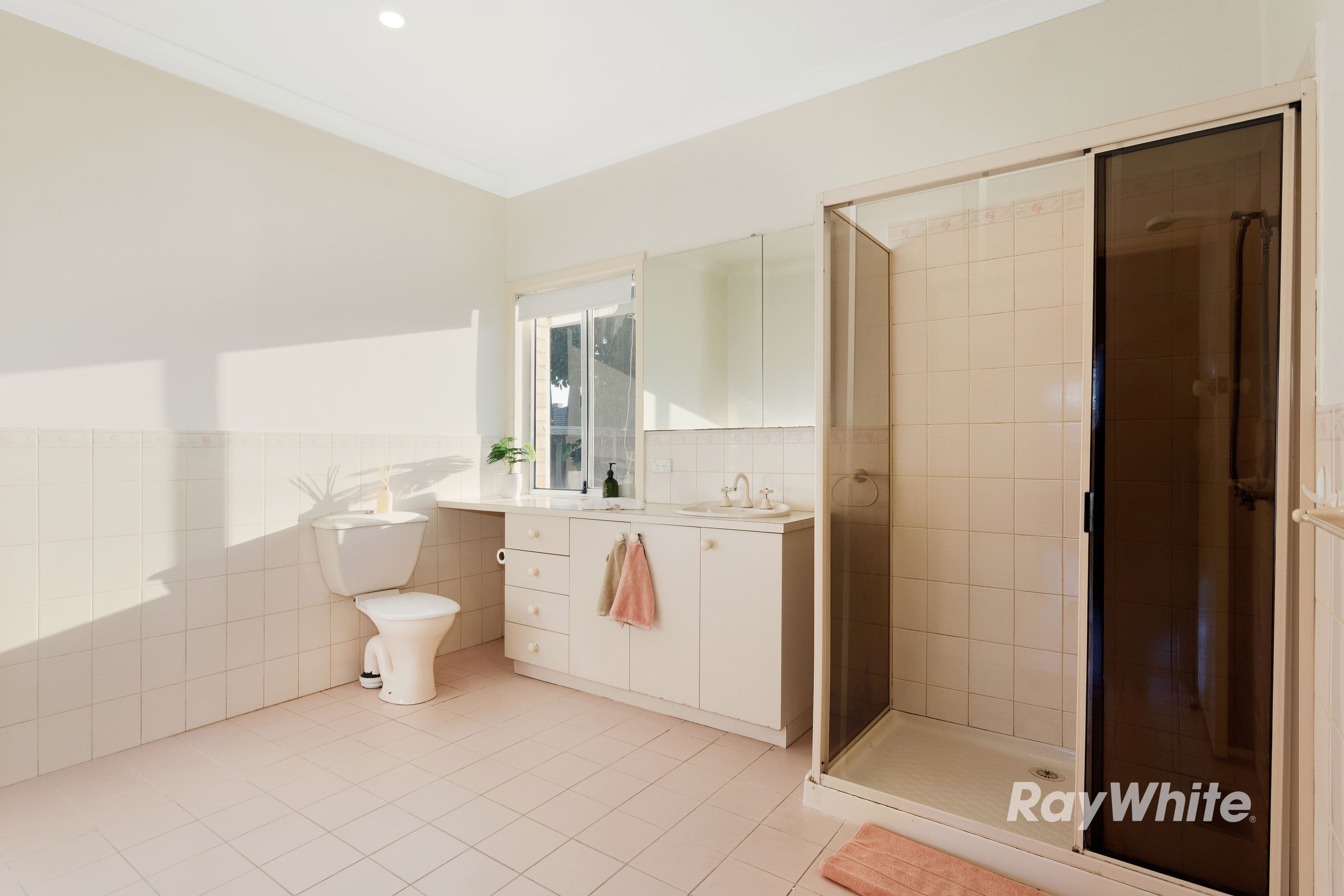 343 Koornang Road, Ormond VIC 3204, Ormond - Thumbnail 4