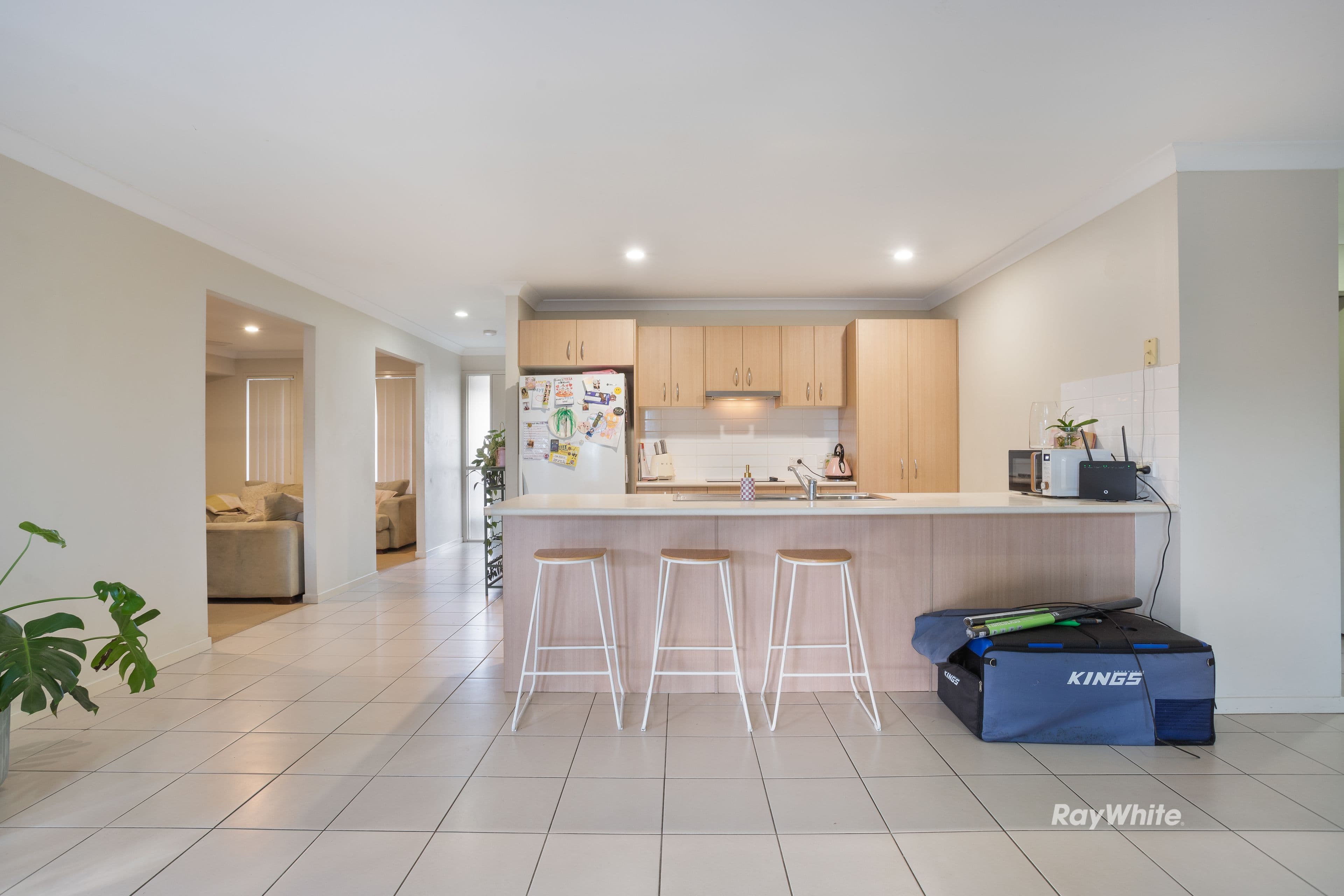 38 Tranquillity Circle, Brassall QLD 4305, Brassall - Thumbnail 2