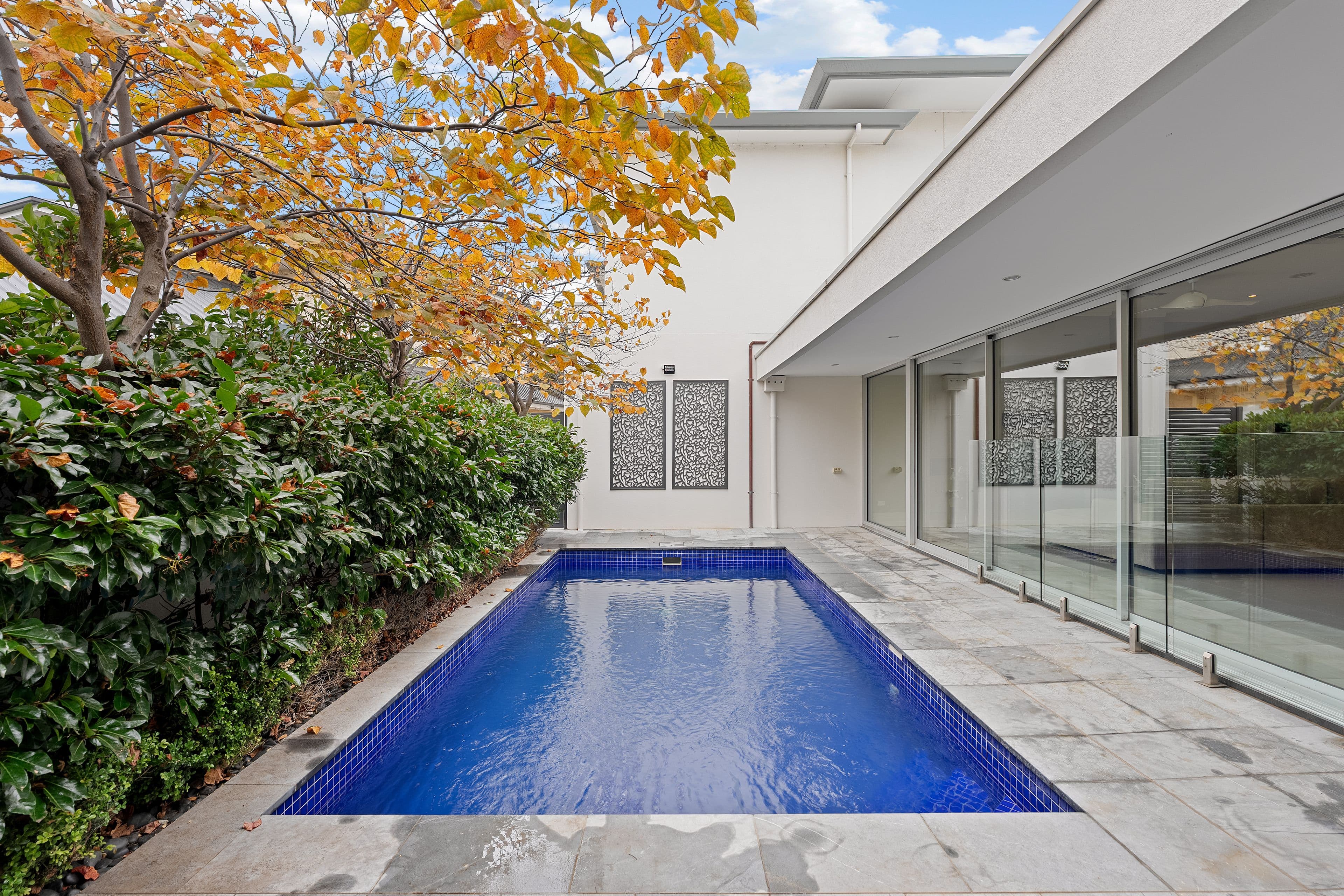 28 Strathmore Avenue, Lockleys SA 5032, Lockleys - Thumbnail 4